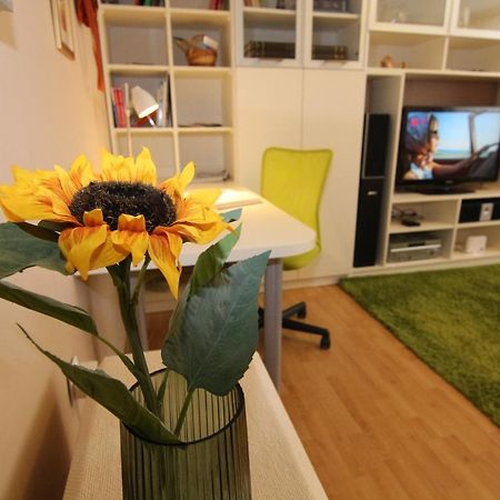 Fast Friend - Cozy Apartment In The Center With Private Garage Ριέκα Εξωτερικό φωτογραφία
