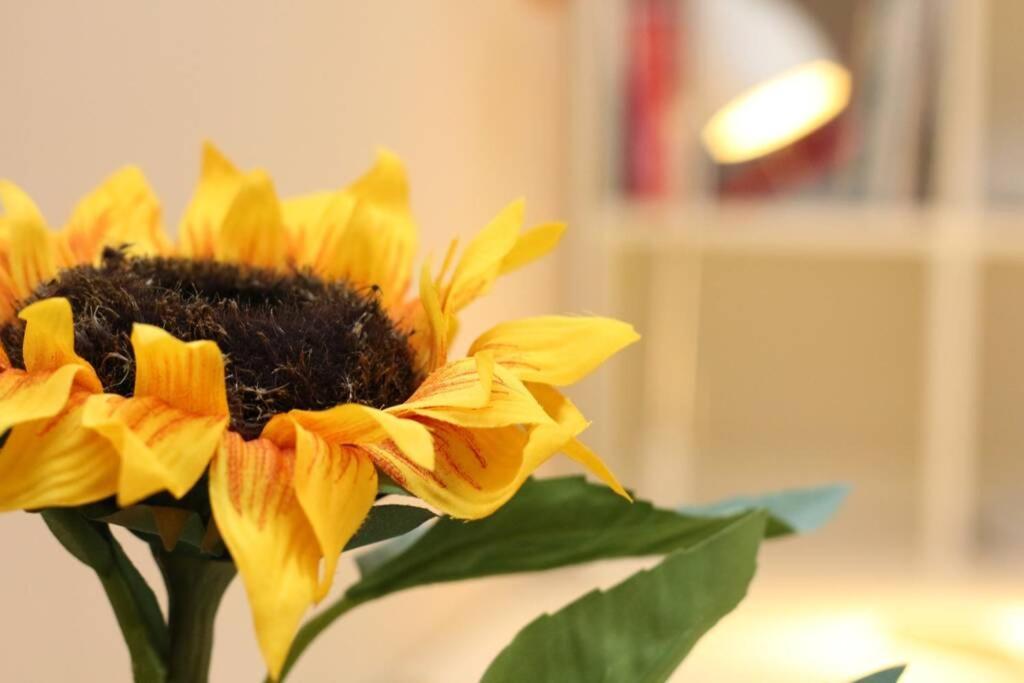 Fast Friend - Cozy Apartment In The Center With Private Garage Ριέκα Εξωτερικό φωτογραφία